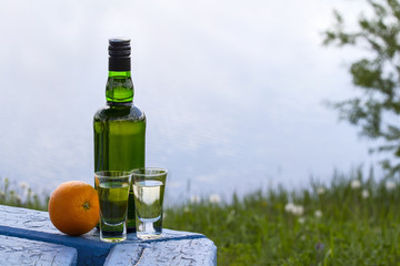 Bottle of whiskey and two glasses with orange on shore of lake