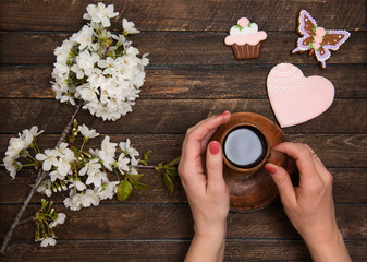Woman hands holding a cup of coffee on chabby chic wooden table.  Cherry blossom  flowers and ginger biscuits. Mothers day or valentines day background concept.