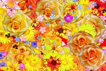 Many blooming tickseed coreopsis flower and different flowers abstract background.