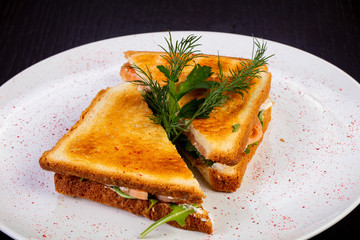 Delicious salmon sandwich