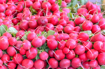 Bunches of fresh red round radish on display