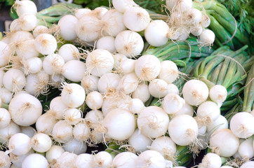 Fresh leeks on display at a farmers market