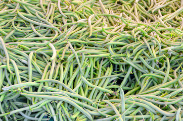 Background texture of fresh green runner beans