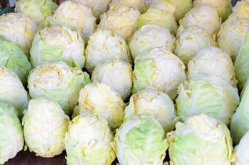 White cabbage for selling on the market