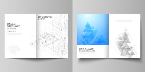 Vector editable layout of two A4 format cover mockups design templates for bifold brochure, magazine, flyer. Polygonal background with triangles, connecting dots and lines. Connection structure.