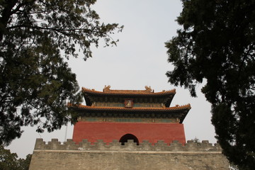 pagoda in asia in spring 