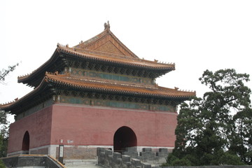 Fototapeta premium pagoda in asia in spring 