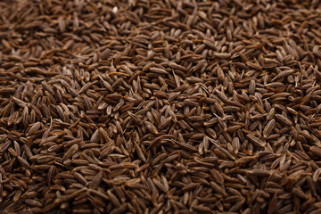 fragrant Zira on a white acrylic background