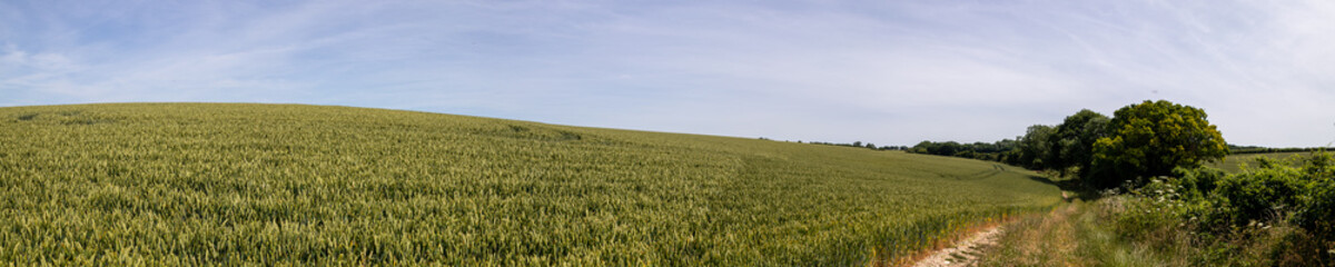 Fototapeta na wymiar Rural Field Panorama