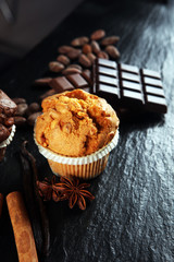 Chocolate muffin and nut muffin, homemade bakery on dark background.