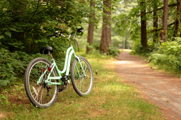 Fototapeta na wymiar Women's bicycle on a bike path at a park.