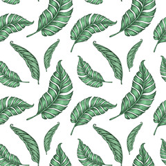 Fototapeta na wymiar Seamless pattern with palm leaves. Vector illustration for fabric print.