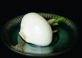 Still life. A onion on a plate.