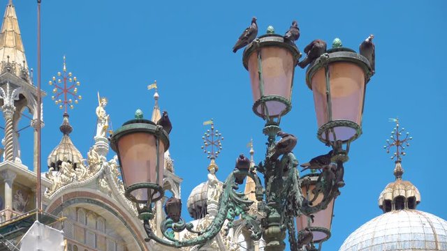 Pigeons on the street lantern in Saint Mark's Square in Venice, Italy