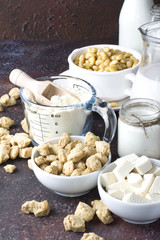 Organic texturized soy meat with soy beans and tofu on rustic background