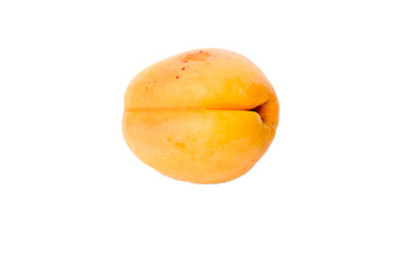 apricots isolated on white background