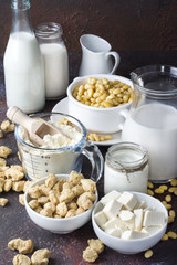Organic texturized soy meat with soy beans and tofu on rustic background