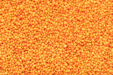 raw lentils texture closeup