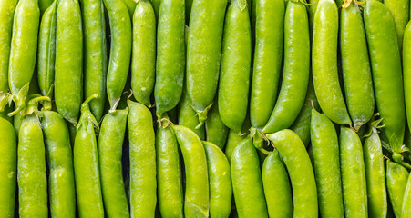 texture of green peas pods