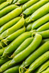 texture of green peas pods