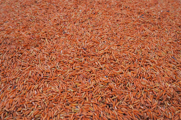 Organic rice. Good nutrition is beneficial to health.
