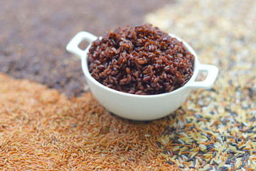 Cooked Organic rice.Vitamins Health Benefits
