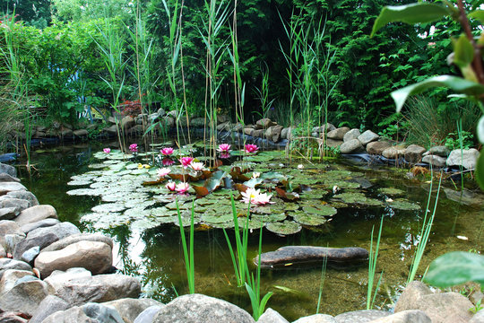 Gartenteich