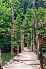 Wooden bridge in the jungle - Palawan Island, Philippines