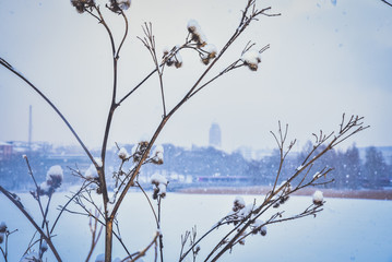 Frosted Töölönlahti