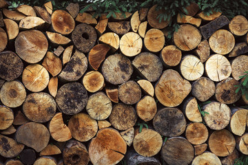 Piles of wooden logs, logs close up, the sawmill