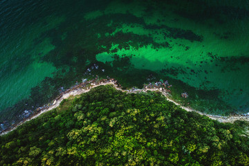Aerial view of wild beach