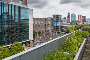 Vegetable roofgarden on top of an office building in the citycenter of Rotterdam, Netherlands. The...