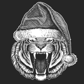 Tiger Christmas, new year celebration. Santa Claus winter hat. Xmas headdress.