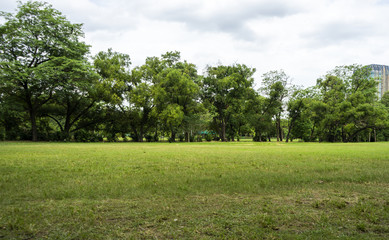 Image of green garden background in the park