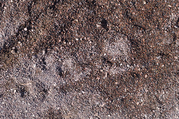 coarse wet sand with traces. background, texture