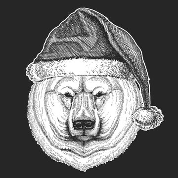Big polar bear Christmas, new year celebration. Santa Claus winter hat. Xmas headdress.