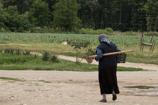 Old Woman Goes To Work In The Fields, Serbia