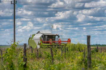 a large white harvester in the field of wheat and corn