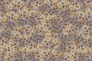 cobweb in a dew on a close-up flower