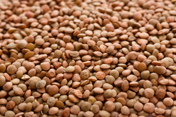 raw lentils on a white acrylic background