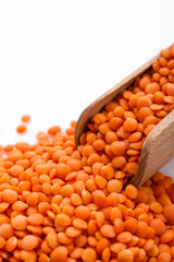 raw lentils on a white acrylic background
