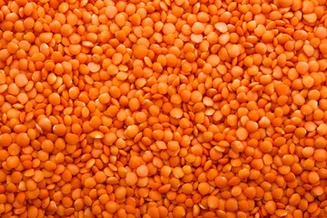 raw lentils on a white acrylic background