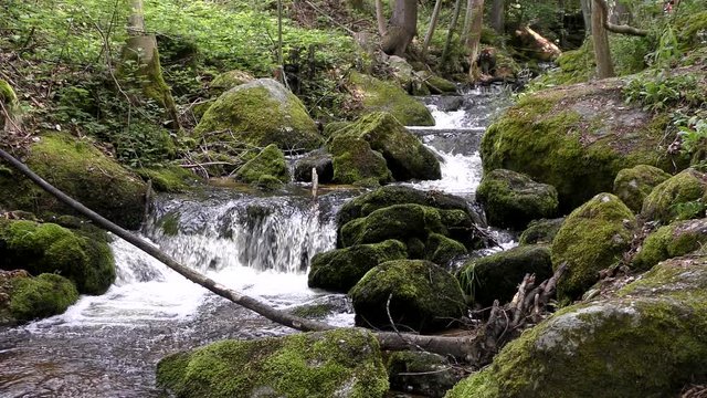 Mystisches Waldviertel - Wasserfälle in der Yppser Klamm