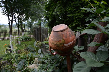 decorative vintage pitcher in the summer garden