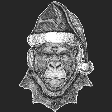 Gorilla, monkey, ape Frightful animal Christmas, new year celebration. Santa Claus winter hat. Xmas headdress.