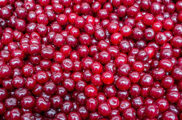 Cherries large plan