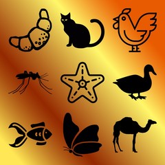 Vector icon set  about animals with 9 icons related to hump, sickness, image, elements and dog