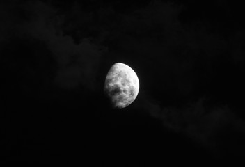 Naklejka na ściany i meble gorgeous moon in a dark blue night sky gets covered by soft wispy dark clouds
