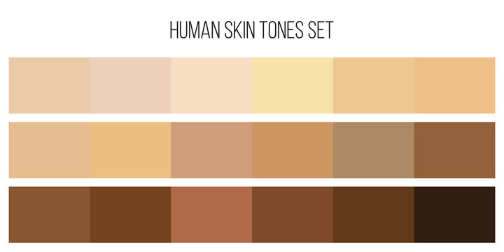 Creative vector illustration of human skin tone color palette set isolated on transparent background. Art design. Abstract concept person face, body complexion graphic element for cosmetics