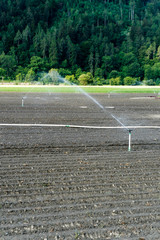 spinkler and irrigation system on a freshly planted agricultural field